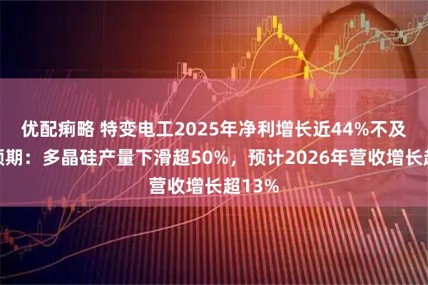 优配痢略 特变电工2025年净利增长近44%不及机构预期：多晶硅产量下滑超50%，预计2026年营收增长超13%